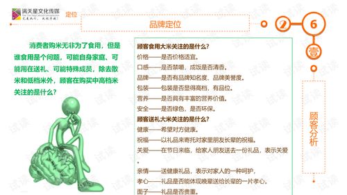 大米姐品牌營(yíng)銷策劃案商業(yè)計(jì)劃書